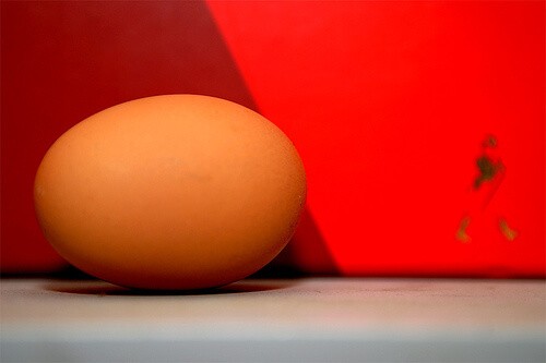 Interpreting Egg Labels