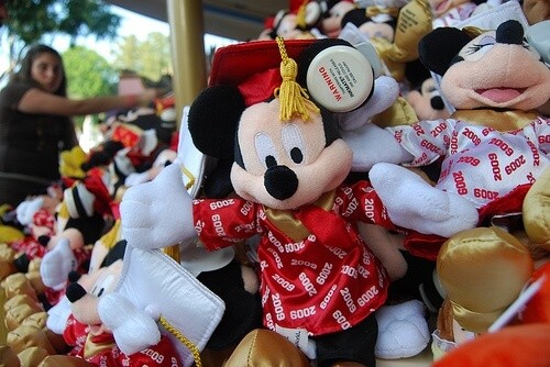 5 Must-Have Items at Disneyland
