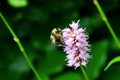10 Awesome Summer Activities