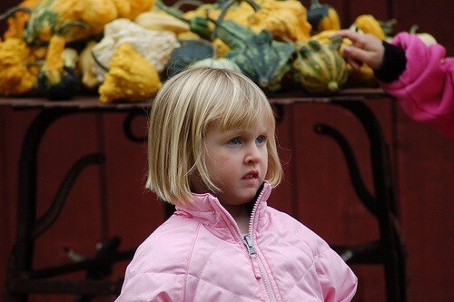10 Awesome Fall Activities
