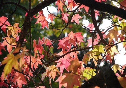 7 Awesome Fall Date Ideas