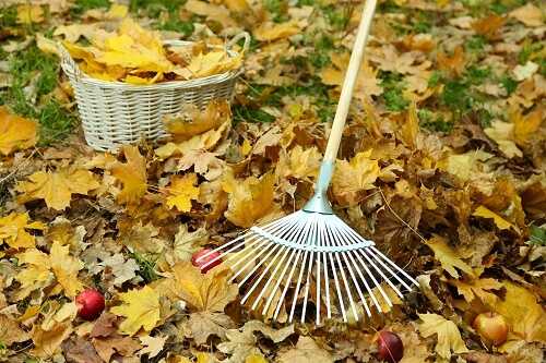 10 Awesome Fall Activities