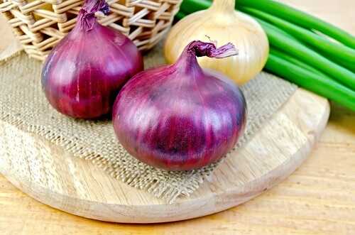 Bulb onion