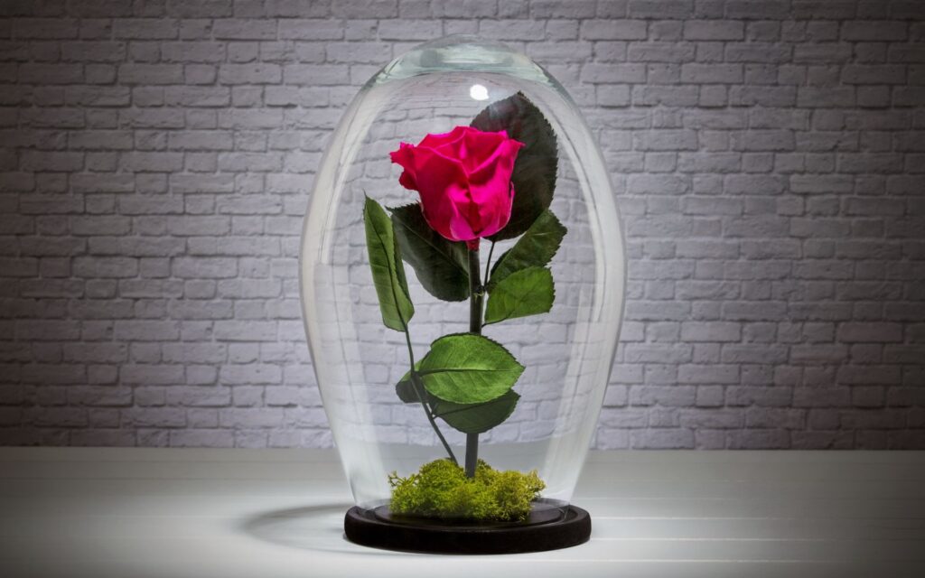 Artificial Roses in Glass Dome
