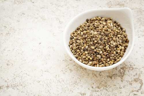 2 Hemp Seeds 7 Seeds That Will Help You Lose Weight