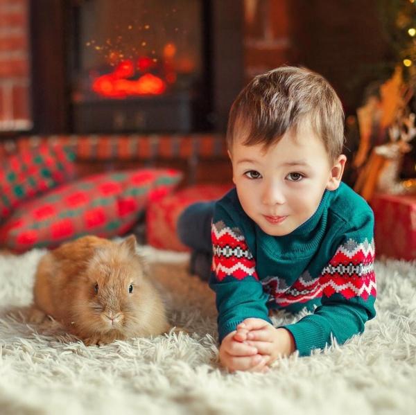 7 Great Christmas Gifts for Toddlers and Preschoolers A pet