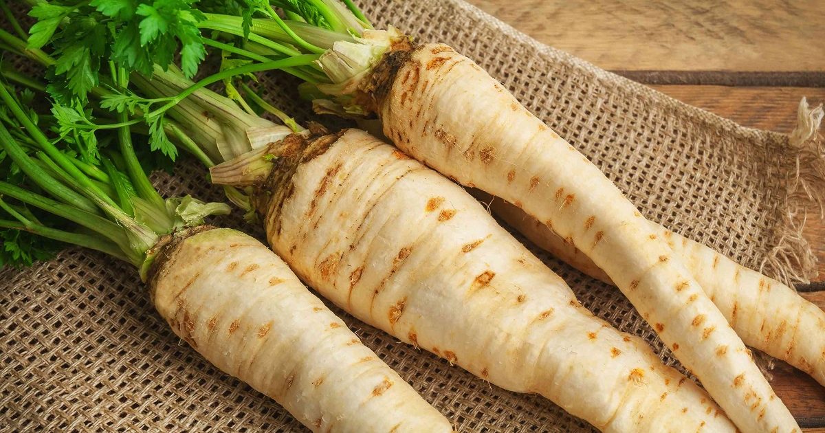 8 Health Benefits of Parsnips (Look Like White Carrots)