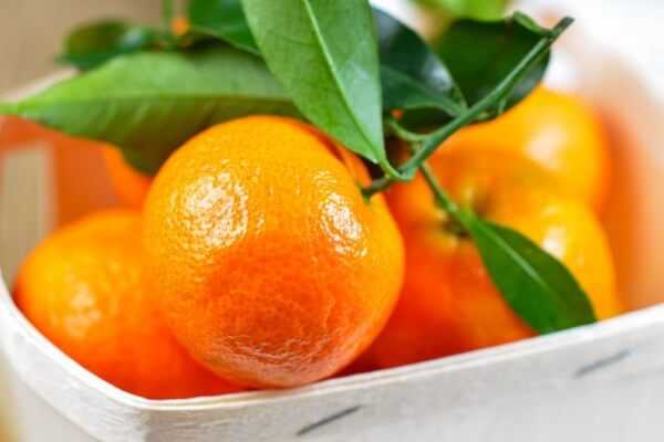 7 Delightful Reasons to Munch on Clementines