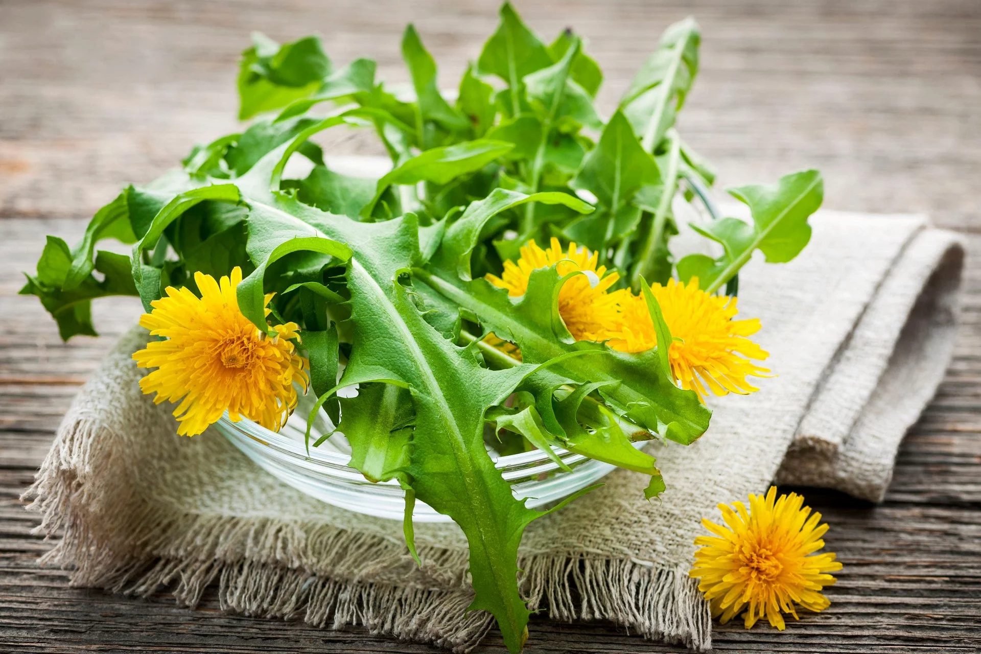 7 Surprising Health Benefits of Dandelion