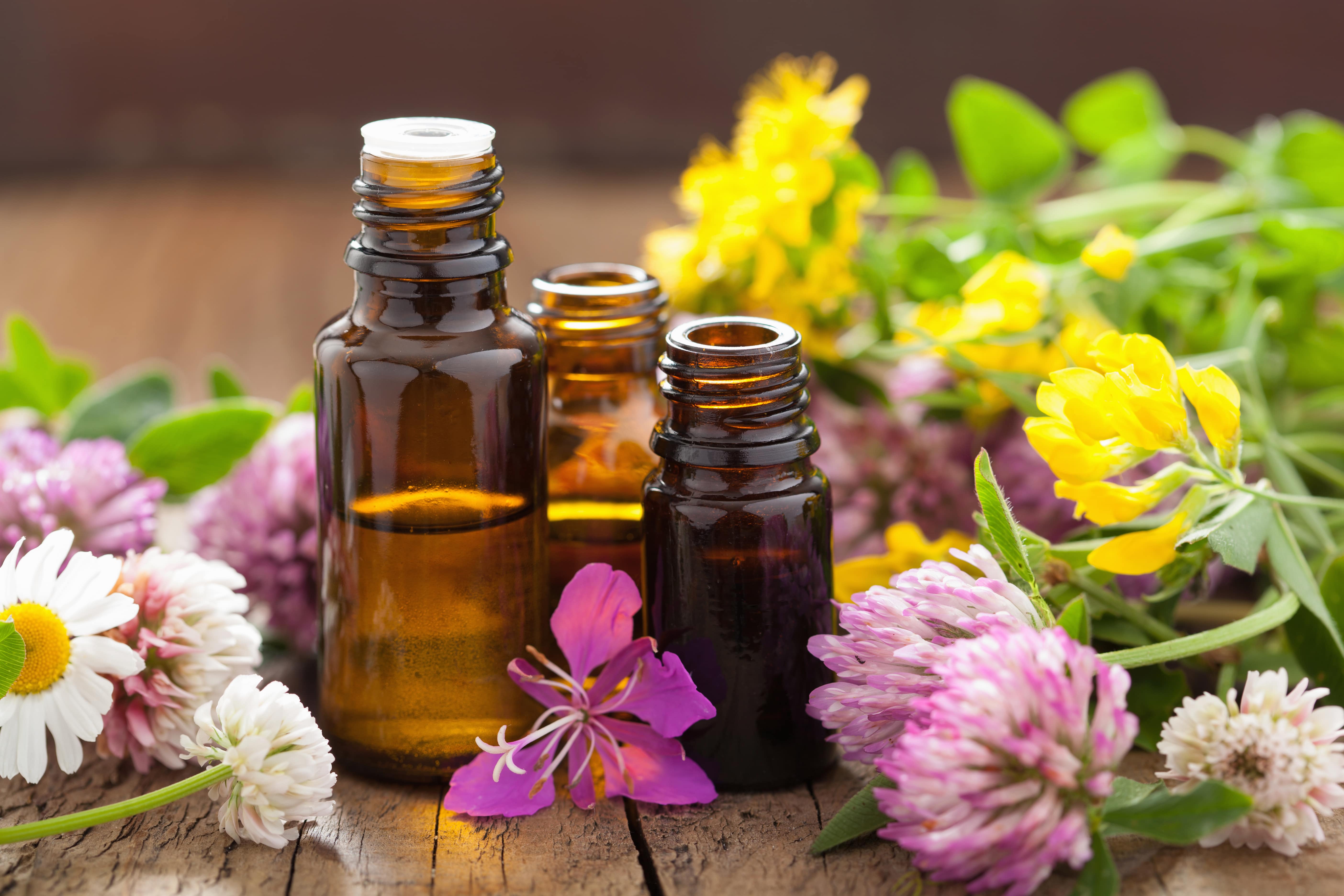 The Life-Changing Essential Oil Guide (Infographic)