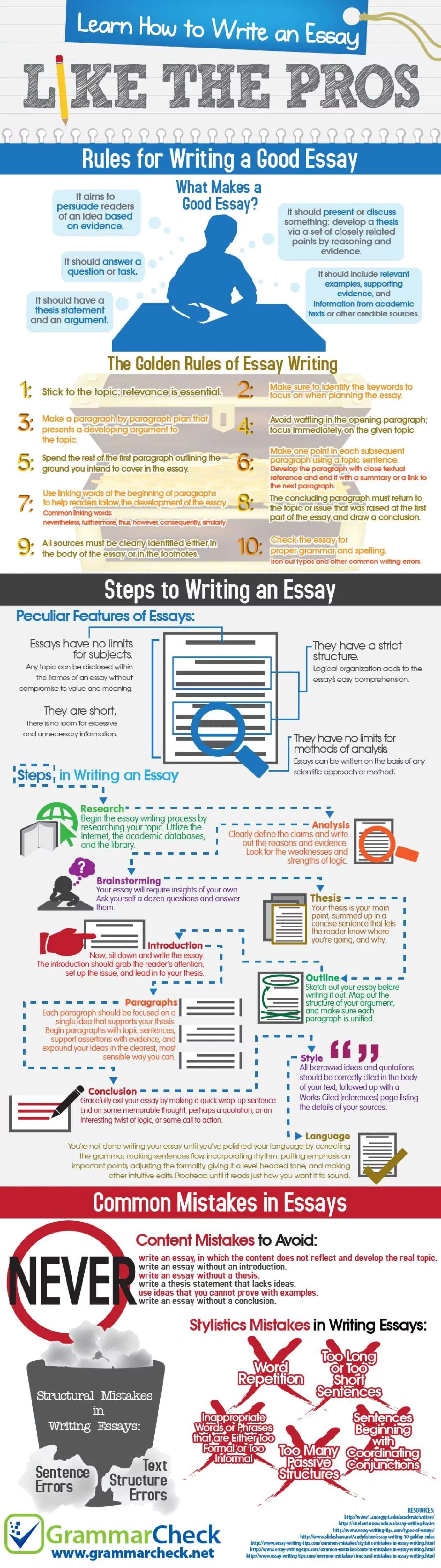 How To Write An Essay Like The Pros Infographic