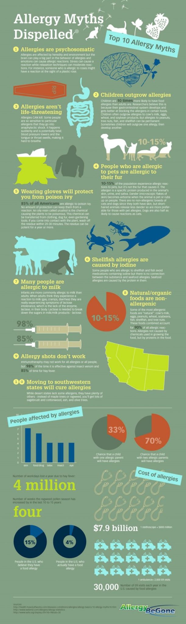 Myths About Allergies 46 Health Infographics That You Wish You Knew Years Ago 0345