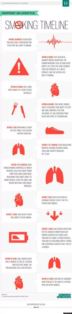 Smoking Timeline 46 Health Infographics That You Wish You Knew Years Ago   Smoking Timeline 235x1024 