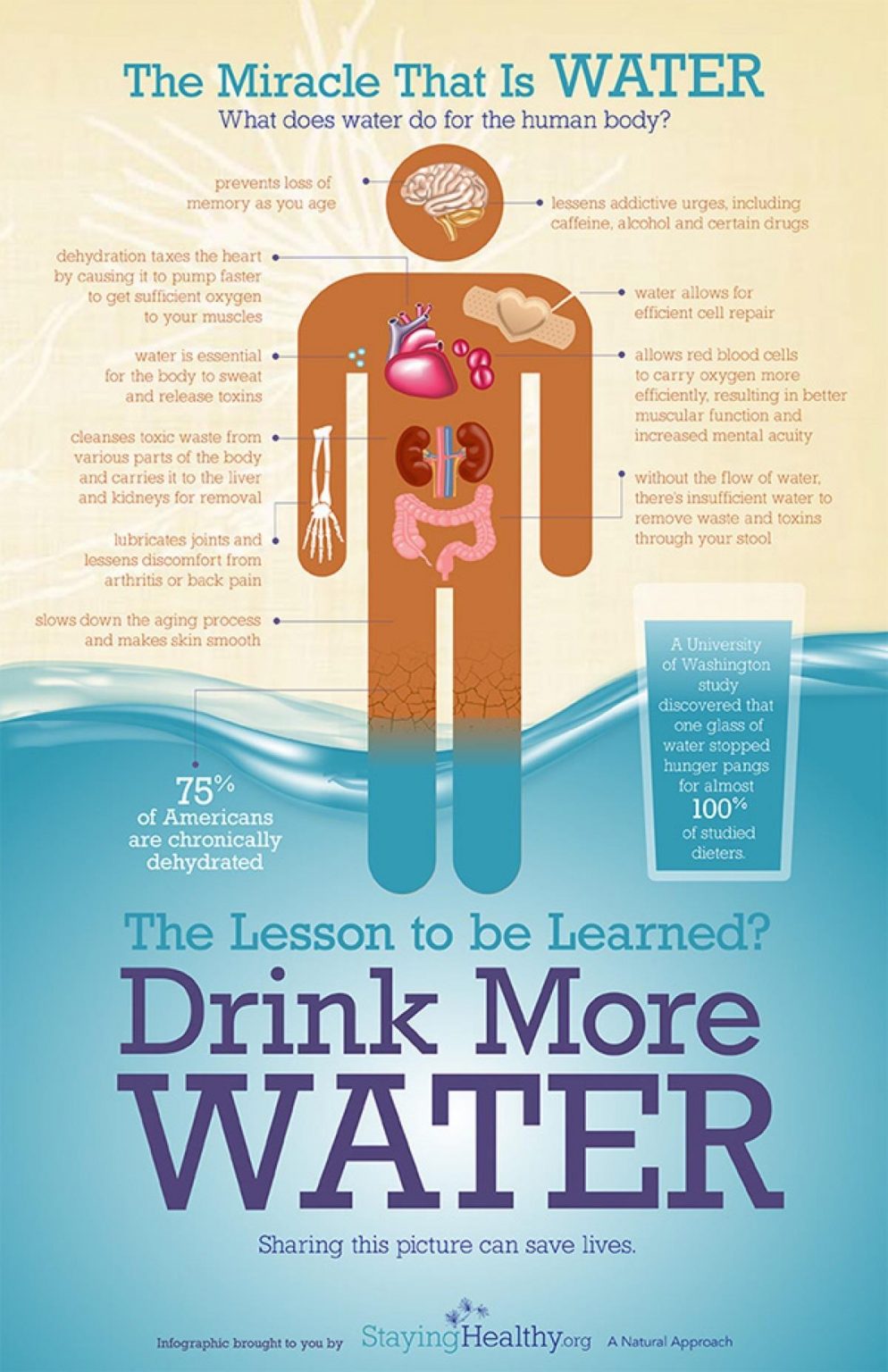 12-water-46-health-infographics-that-you-wish-you-knew-years-ago