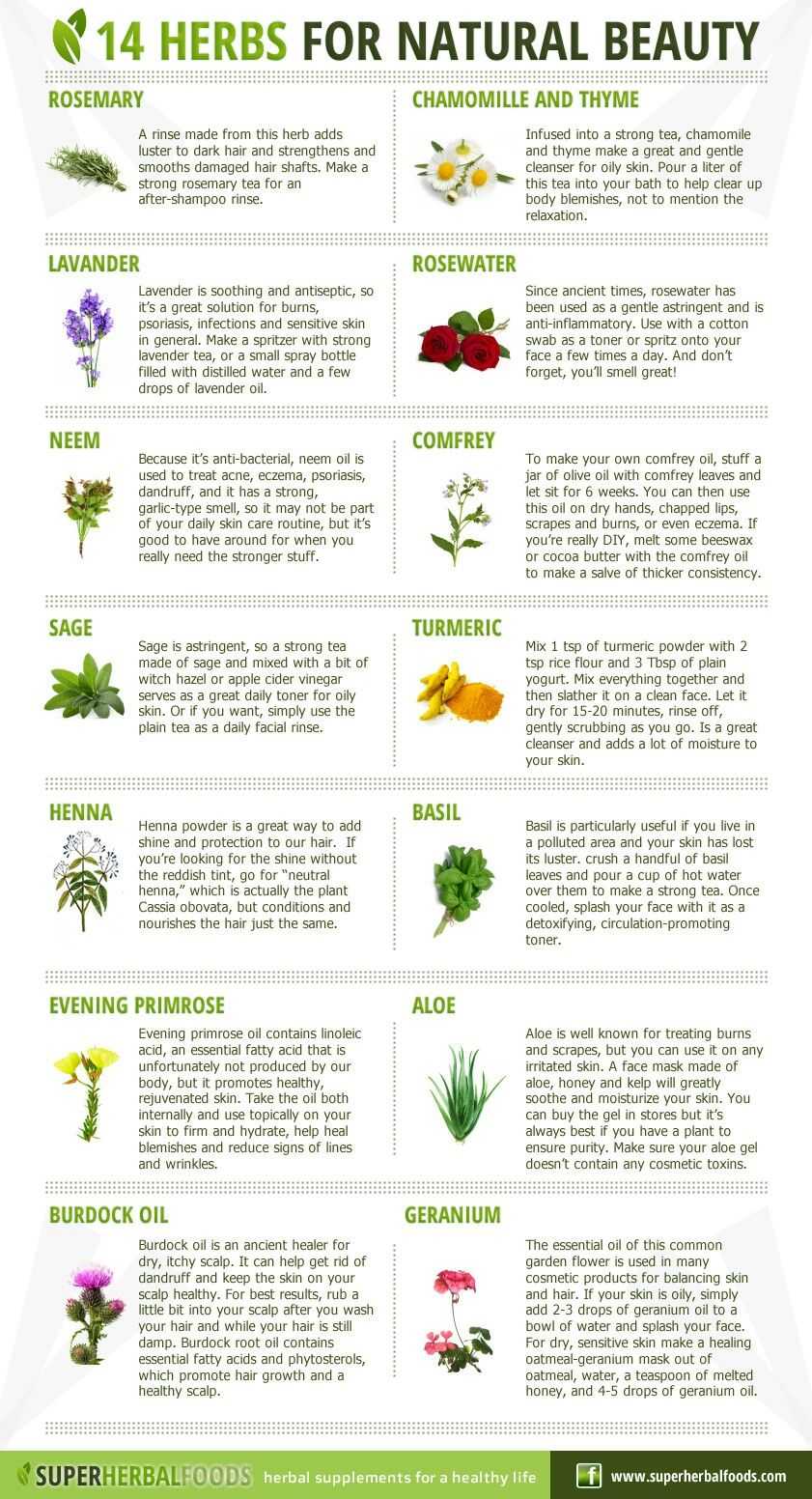 14 Herbs For Natural Beauty