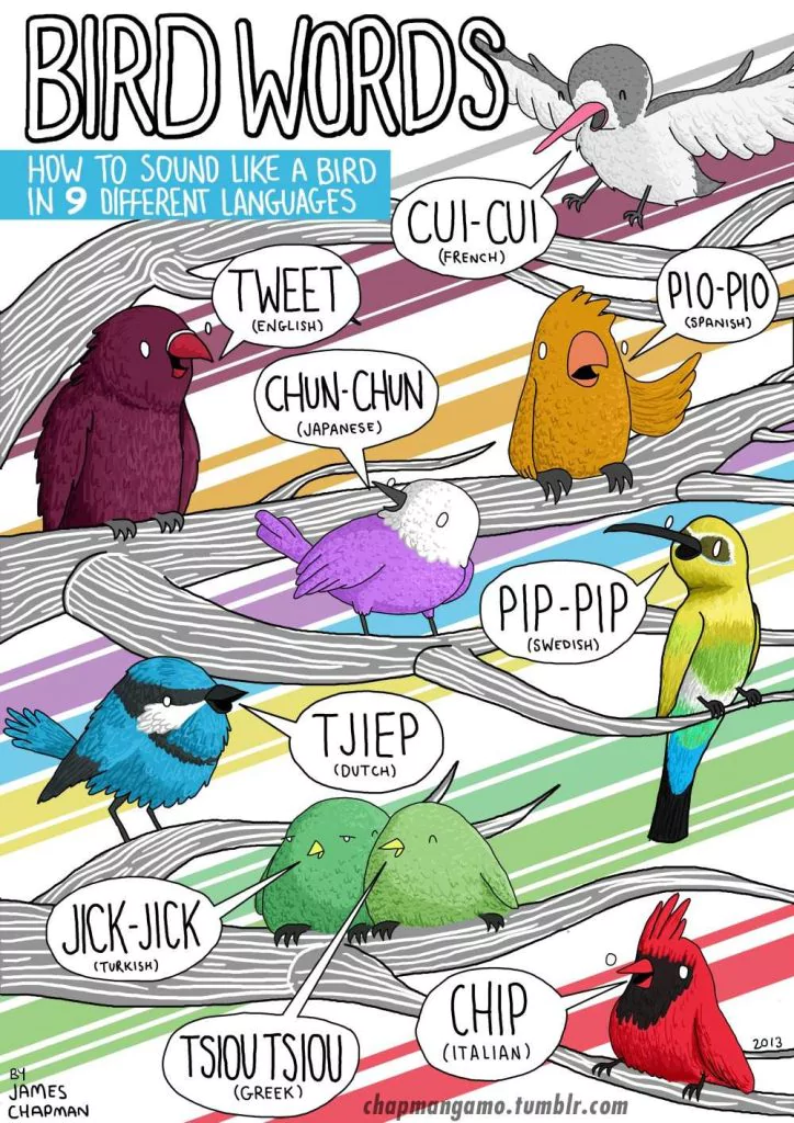 bird-words-43-smart-infographics-on-words-and-languages