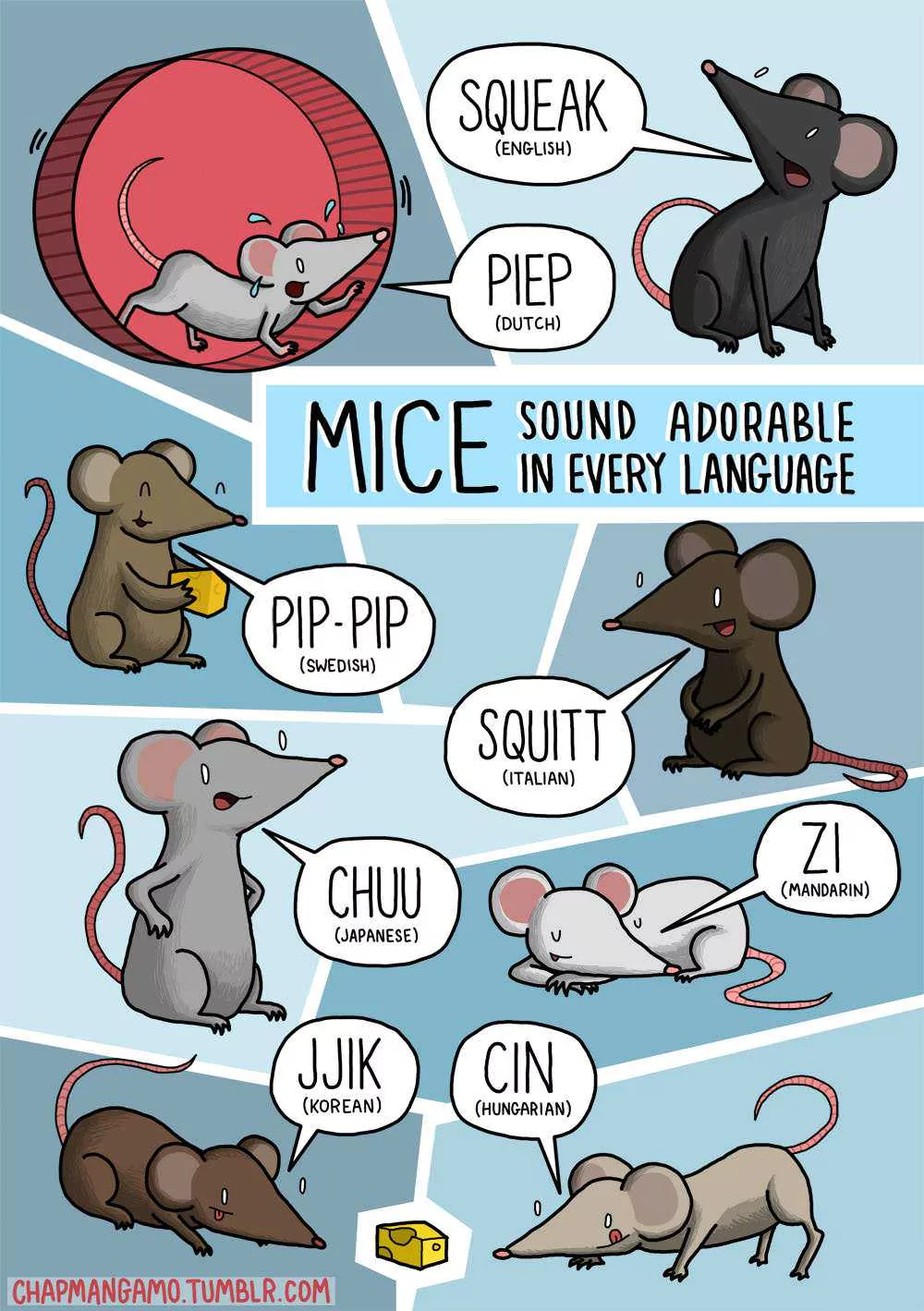 Mice Sound
