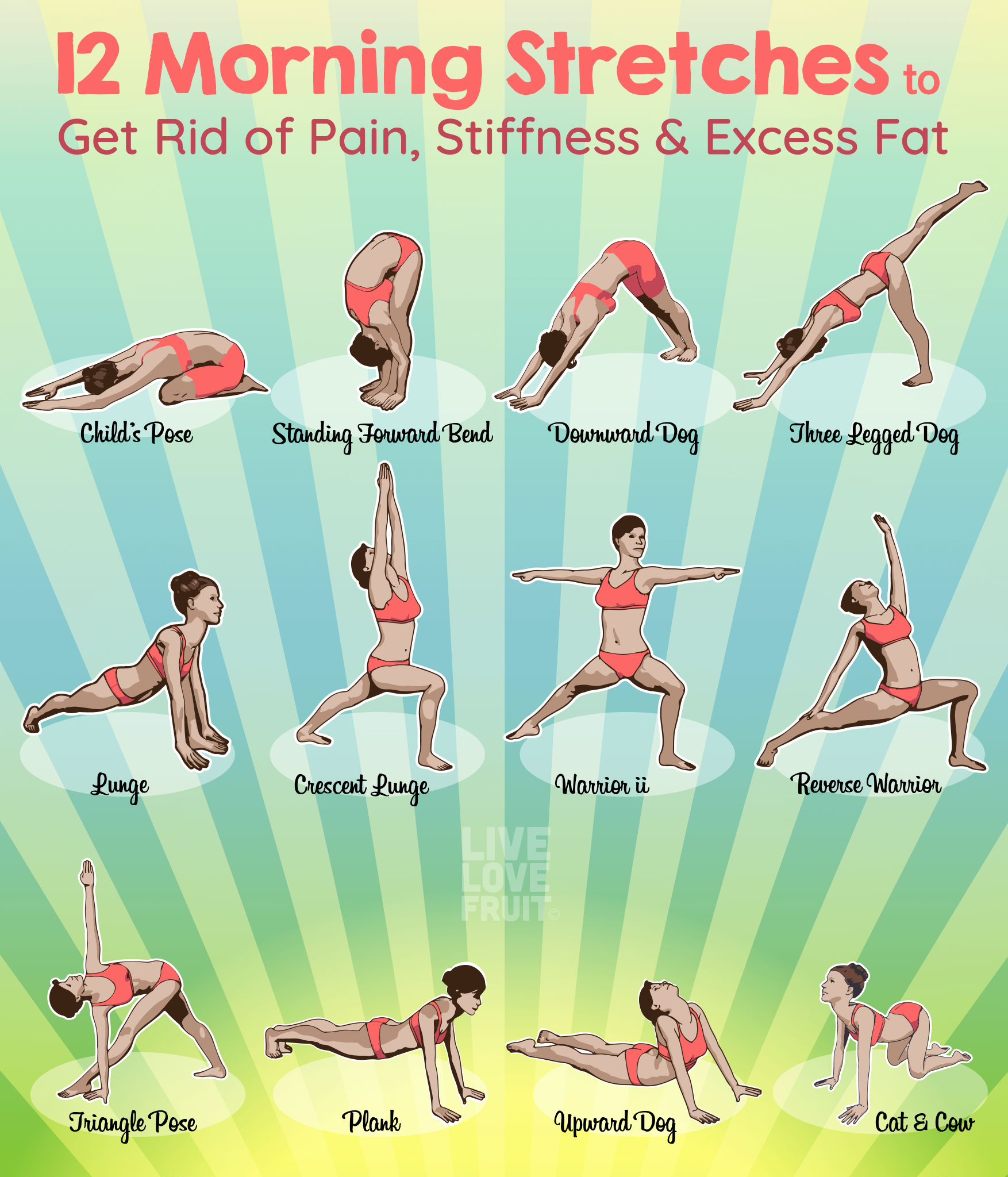 22 Stretching Exercises Infographics For Better Flexibility 7159