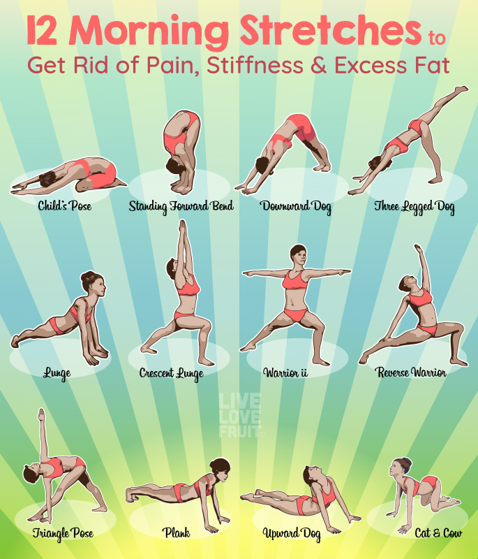 22 Stretching Exercises Infographics for Better Flexibility