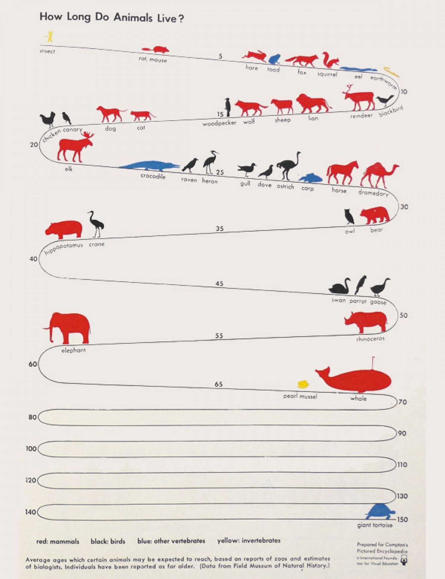 How Long Do Animals Live