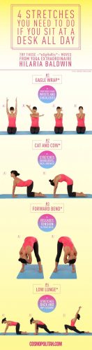 22 Stretching Exercises Infographics for Better Flexibility