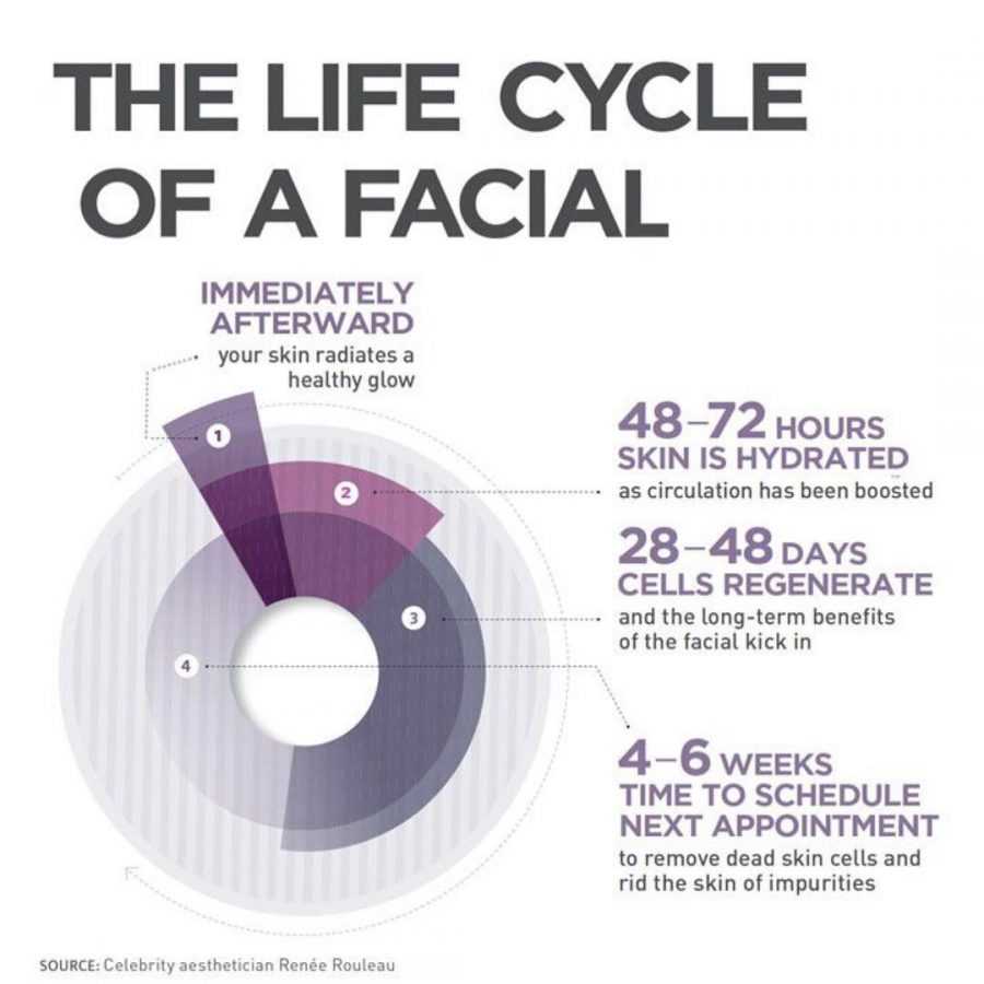 The Life Cycle Of A Facial 40 Skinny Skincare Infographics