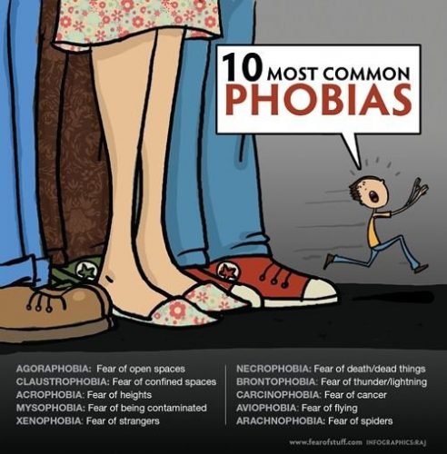 10 Most Common Phobias Interesting Facts About Phobias 24 Infographics 