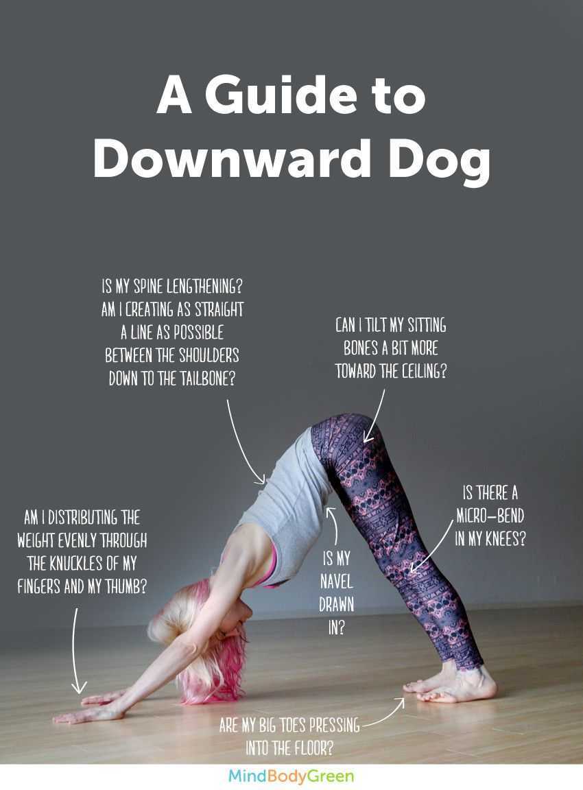 A Guide To Downward Dog