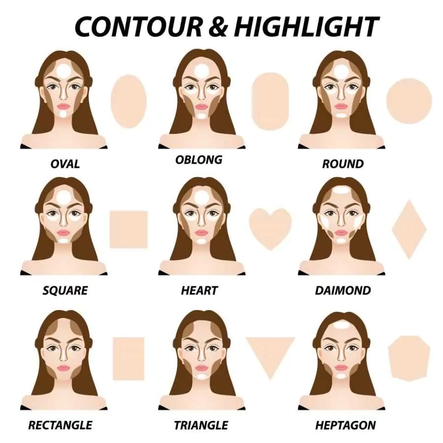 39 Contour And Highlight 40 Infographics For Contouring Highlights And