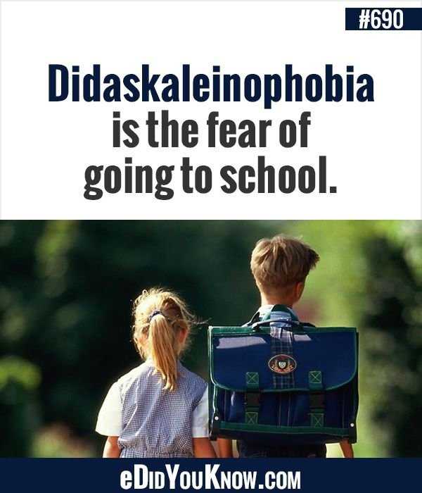 Didaskaleinophobia