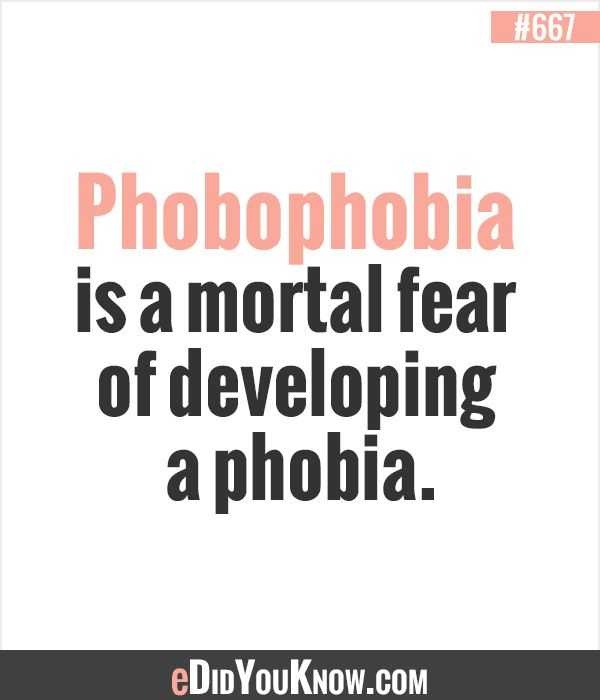 Phobophobia