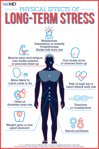 Physical Effects Of Long-Term Stress - 50 Infographics to Help You Less ...