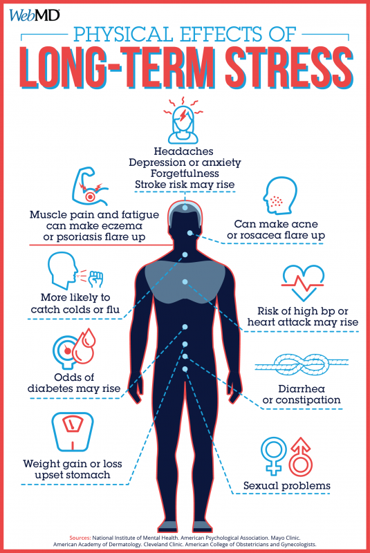 stress health effects essay