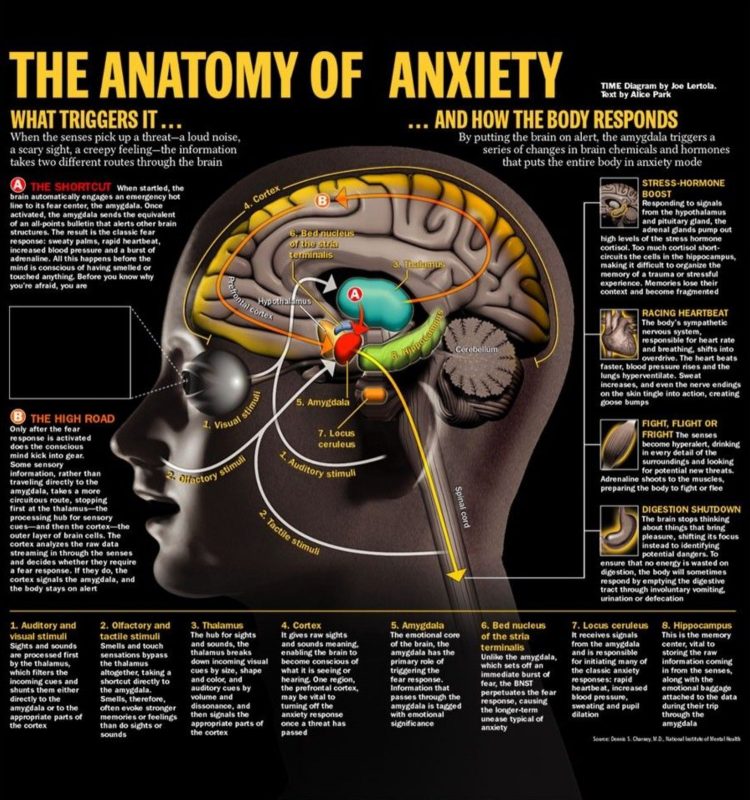 21 Infographics About Anxiety And How To Get Rid Of This Feeling