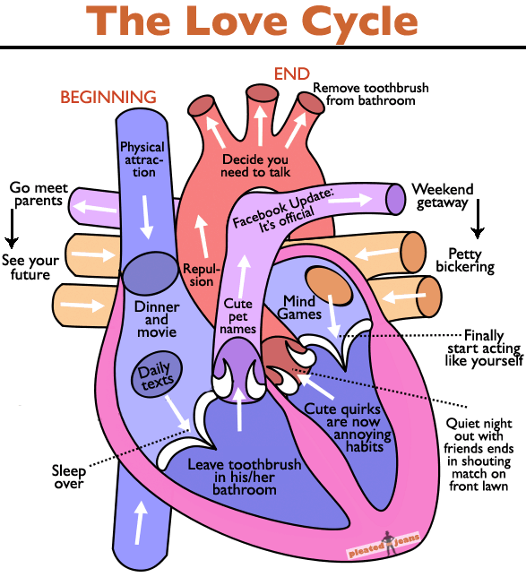 The Love Cycle