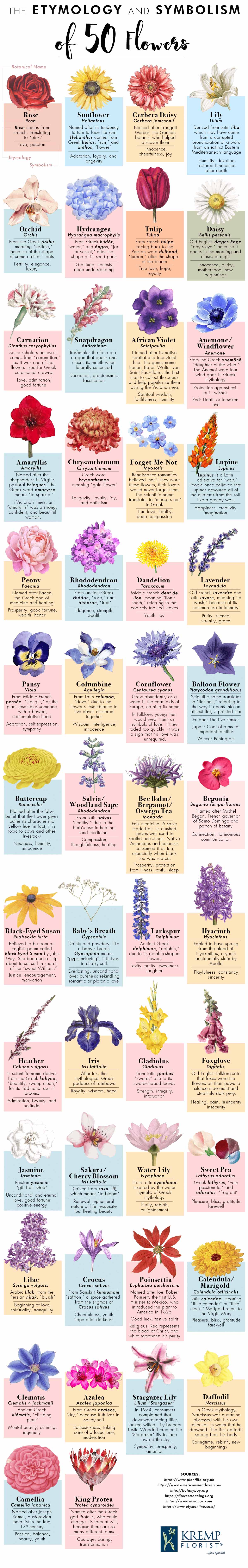 Etymology and Symbolism of 50 Flowers