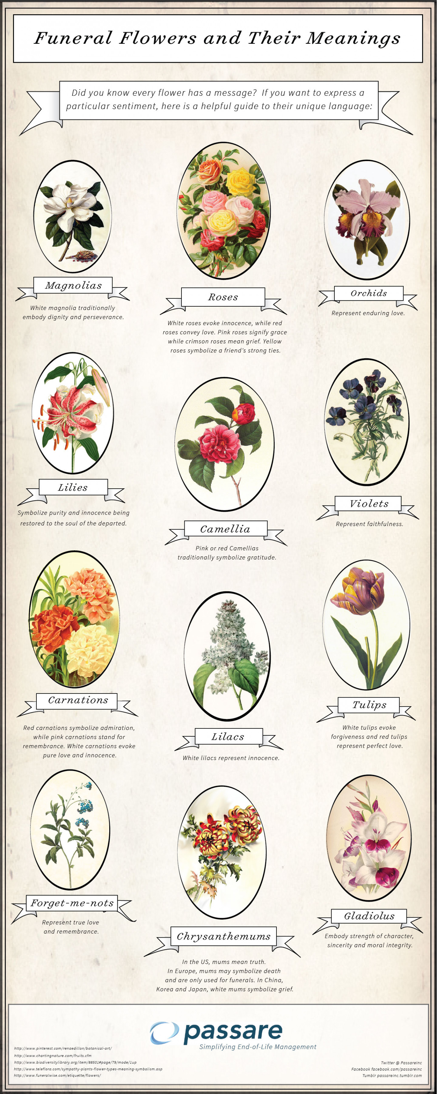 Funeral Flowers and Their Meanings