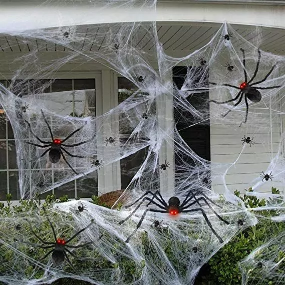 Spiders on the door and gauze web
